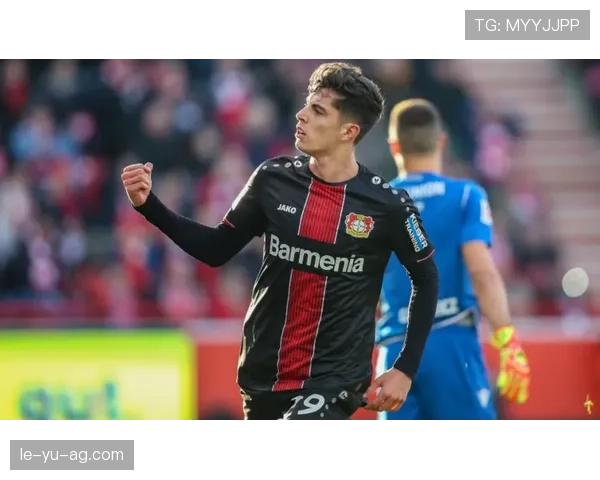 哈弗茨风格分析